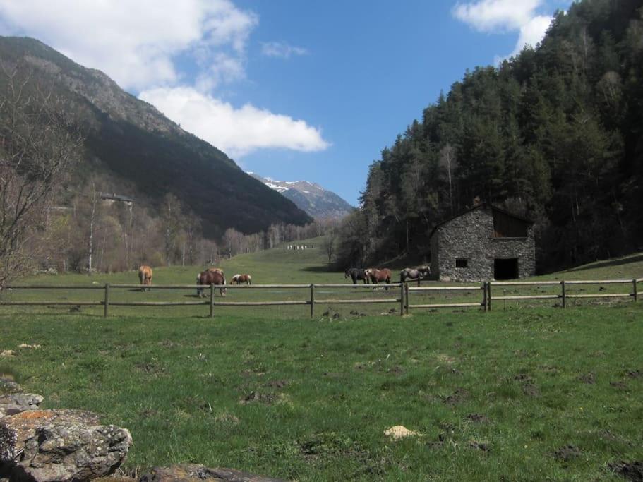 Apartament Gran Pirineu Montferrer Extérieur photo